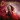 The Hunger Games: Catching Fire: Original Motion Picture Soundtrack