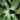 Exciter