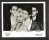 Transvision Vamp