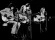Crosby, Stills & Nash