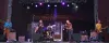 Gin Blossoms