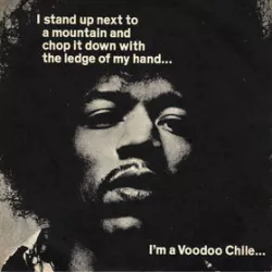 Voodoo Child