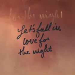 Let's Fall in Love for the Night