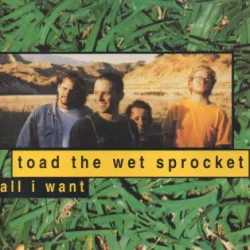 All I Want