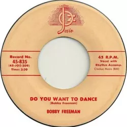 Do You Wanna Dance