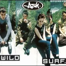 Wild Surf