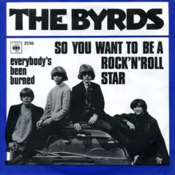 So You Want to Be a Rock & Roll Star