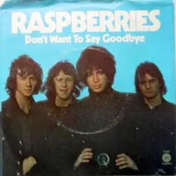 Don't Want to Say Goodbye