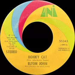 Honky Cat