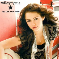 Fly on the Wall