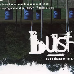 Greedy Fly