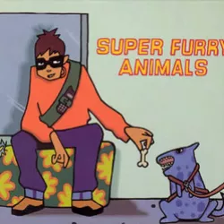 Play It Cool