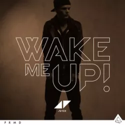 Wake Me Up!