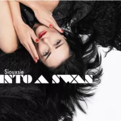 Into a Swan