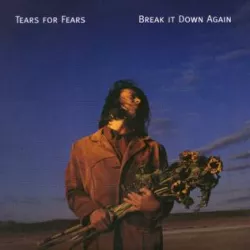Break It Down Again