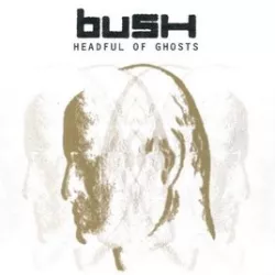 Headful of Ghosts