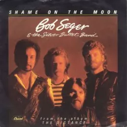 Shame on the Moon
