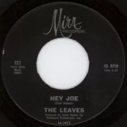 Hey Joe