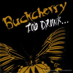 Too Drunk...