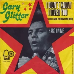 I Didn't Know I Loved You (Till I Saw You Rock and Roll)