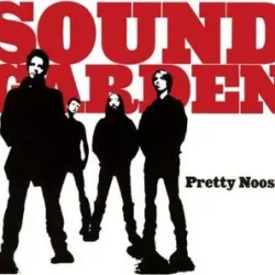 Pretty Noose