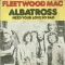 Albatross