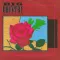 Where the Rose Is Sown