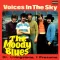 Voices in the Sky