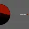 The Interpol EP: PDA / NYC / Specialist
