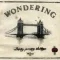 Wondering