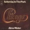 Saturday in the Park